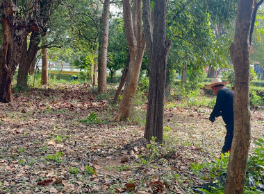 กิจกรรม “บ้านเมืองสะอาด บูชาคุณย่าโม” พารามิเตอร์รูปภาพ 14